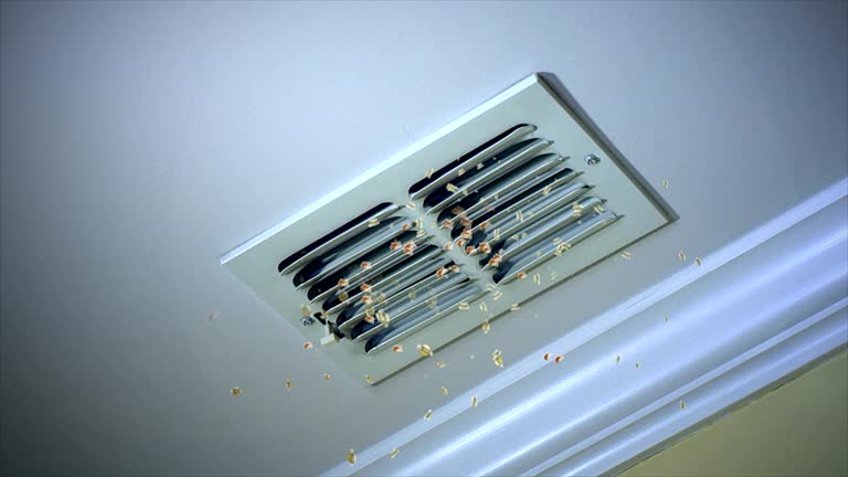 Best Air Vent Cleaning Services  in Mcnary, AZ